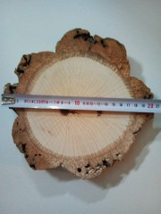 RODAJAS DE MADERA ENCINA 18 A 20 CM